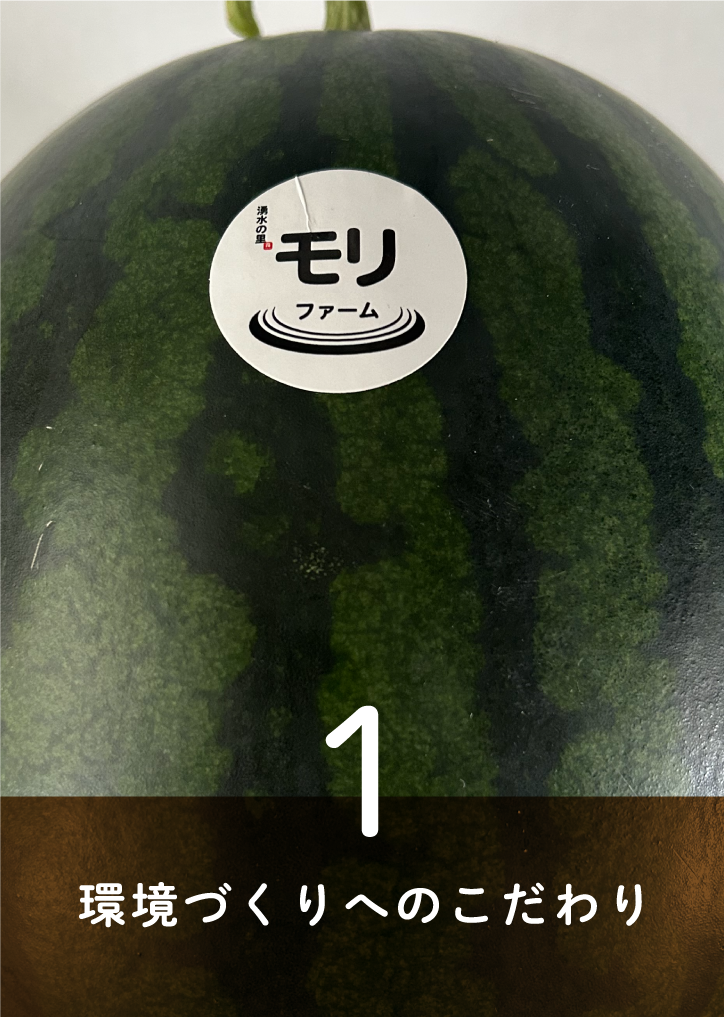 環境づくりへのこだわり