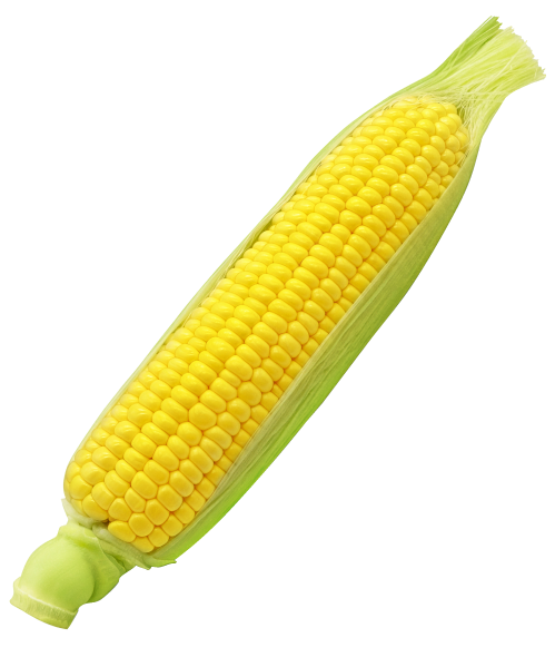 とうもろこし