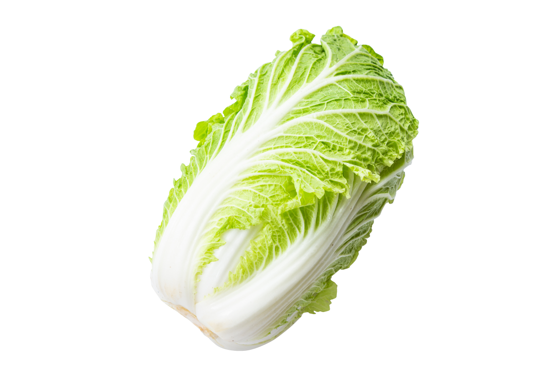 白菜